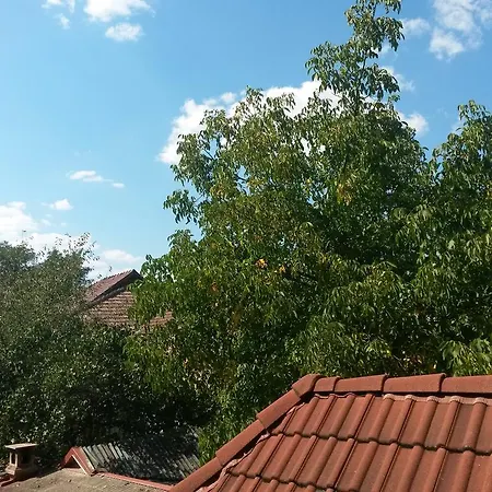 Guest house Pensiunea Lorincz *** Panzio Sovata