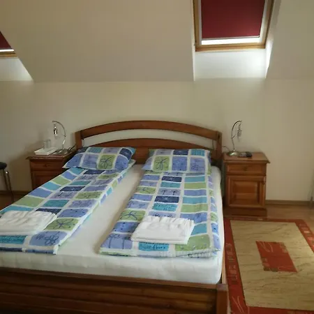 Pensiunea Lorincz *** Panzio 3* Sovata