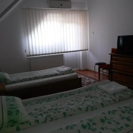 Guest house Pensiunea Lorincz *** Panzio