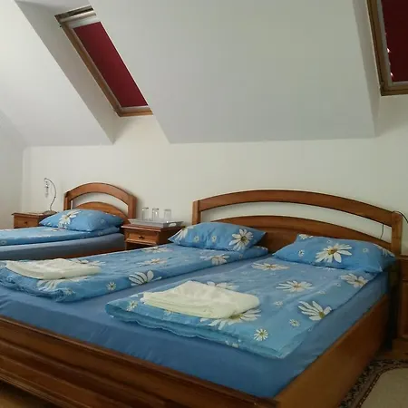 Guest house Pensiunea Lorincz *** Panzio