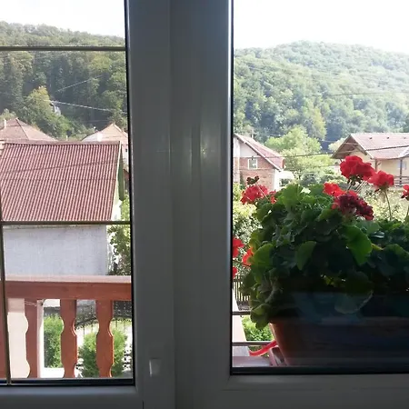 Guest house Pensiunea Lorincz *** Panzio 3*