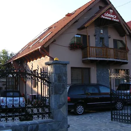 Guest house Pensiunea Lorincz *** Panzio 3*