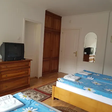 Guest house Pensiunea Lorincz *** Panzio 3*