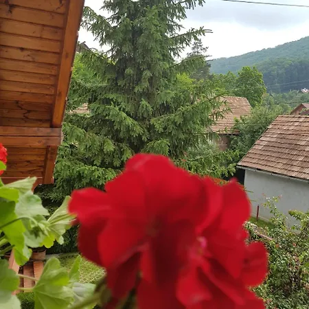 Pensiunea Lorincz *** Panzio Guest house 3*