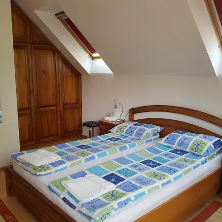 Guest house Pensiunea Lorincz *** Panzio 3*