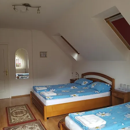 Pensiunea Lorincz *** Panzio Guest house