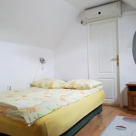 Guest house Pensiunea Lorincz *** Panzio Sovata