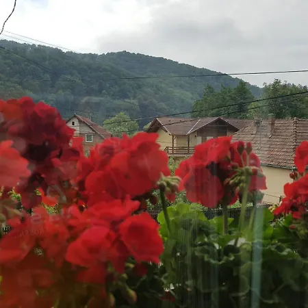 Pensiunea Lorincz *** Panzio Guest house Sovata