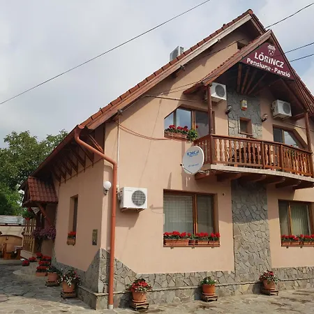Pensiunea Lorincz *** Panzio Guest house Sovata